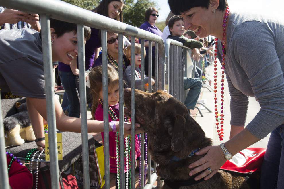 Lafayette’s pooch parade proves a familyfriendly crowd pleaser News