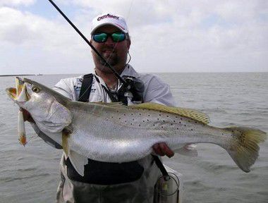 Latest email speckled trout allegedly a 19-pounder, Louisiana Outdoors