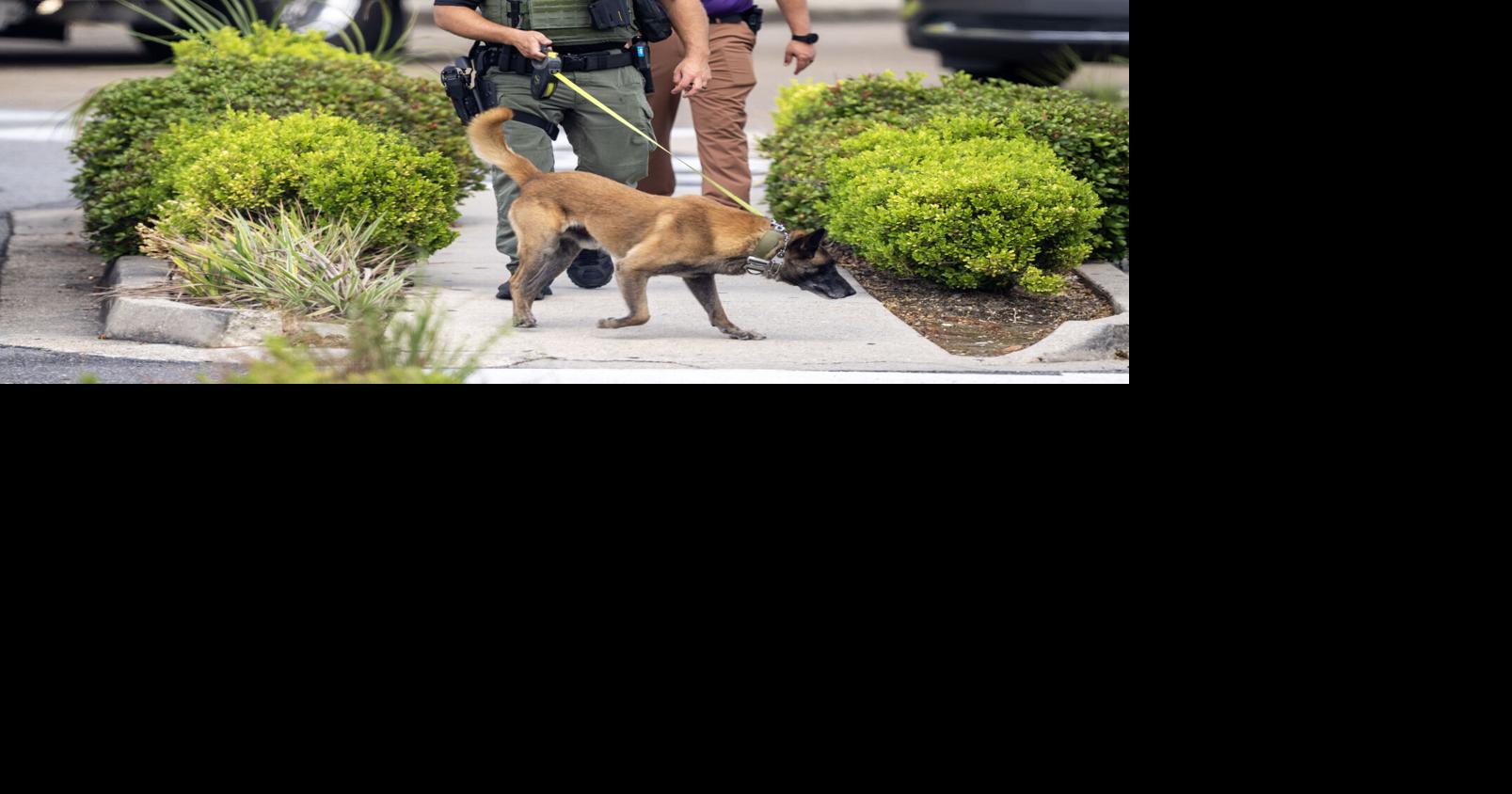 Court filing raises questions about location of teen briefly held in Mall of Louisiana shooting