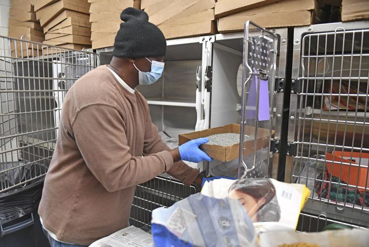 Louisiana inmates released after decades behind bars help shelter