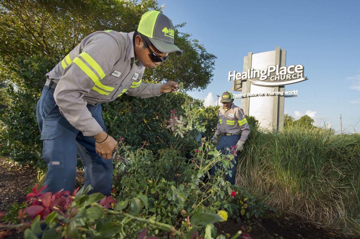 BR.hrblabor_TS_32.091018