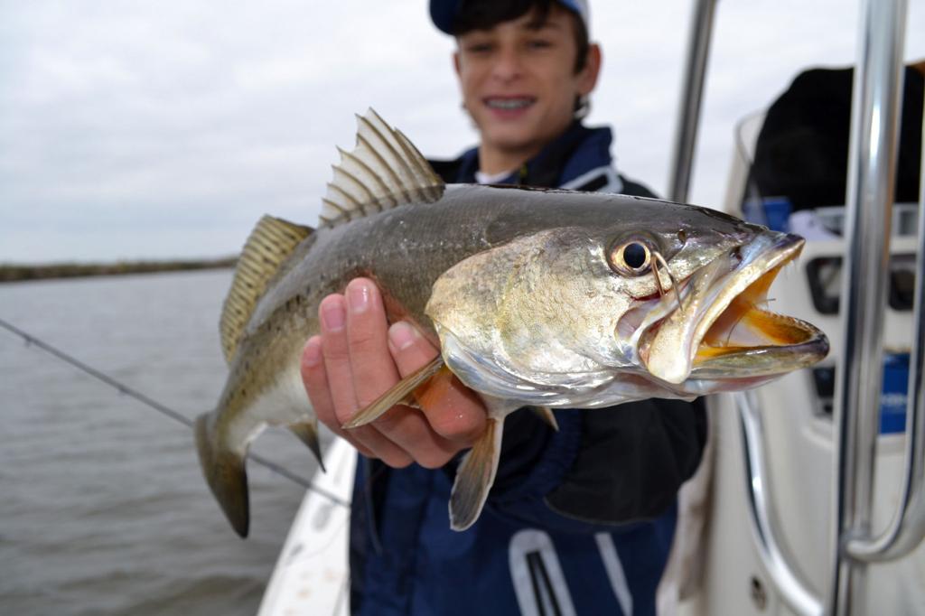 Blame it on the brrrr! Catching cold-weather speckled trout requires  changes in tactics, Louisiana Outdoors