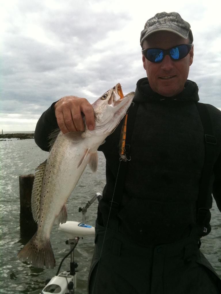 big speckled trout