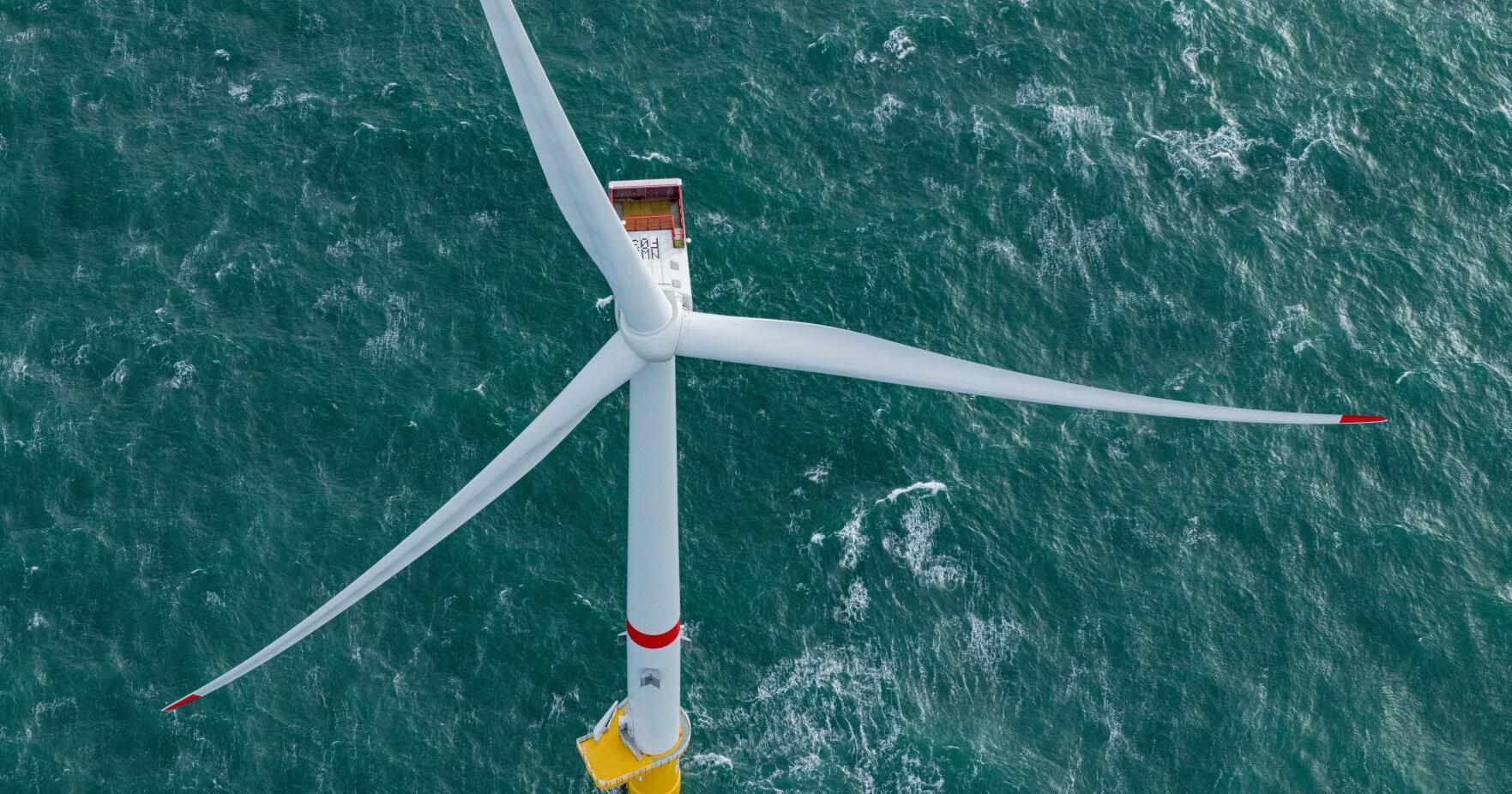 Danish firm proposes fifth wind farm in Louisiana waters | Environment - Vimarsana News