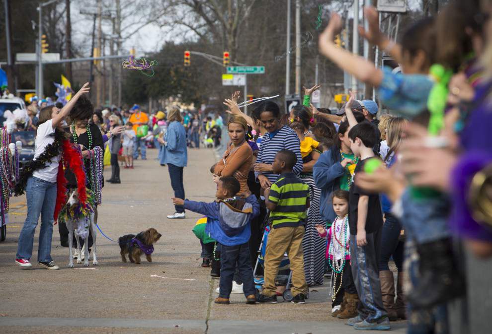 Lafayette’s pooch parade proves a familyfriendly crowd pleaser News