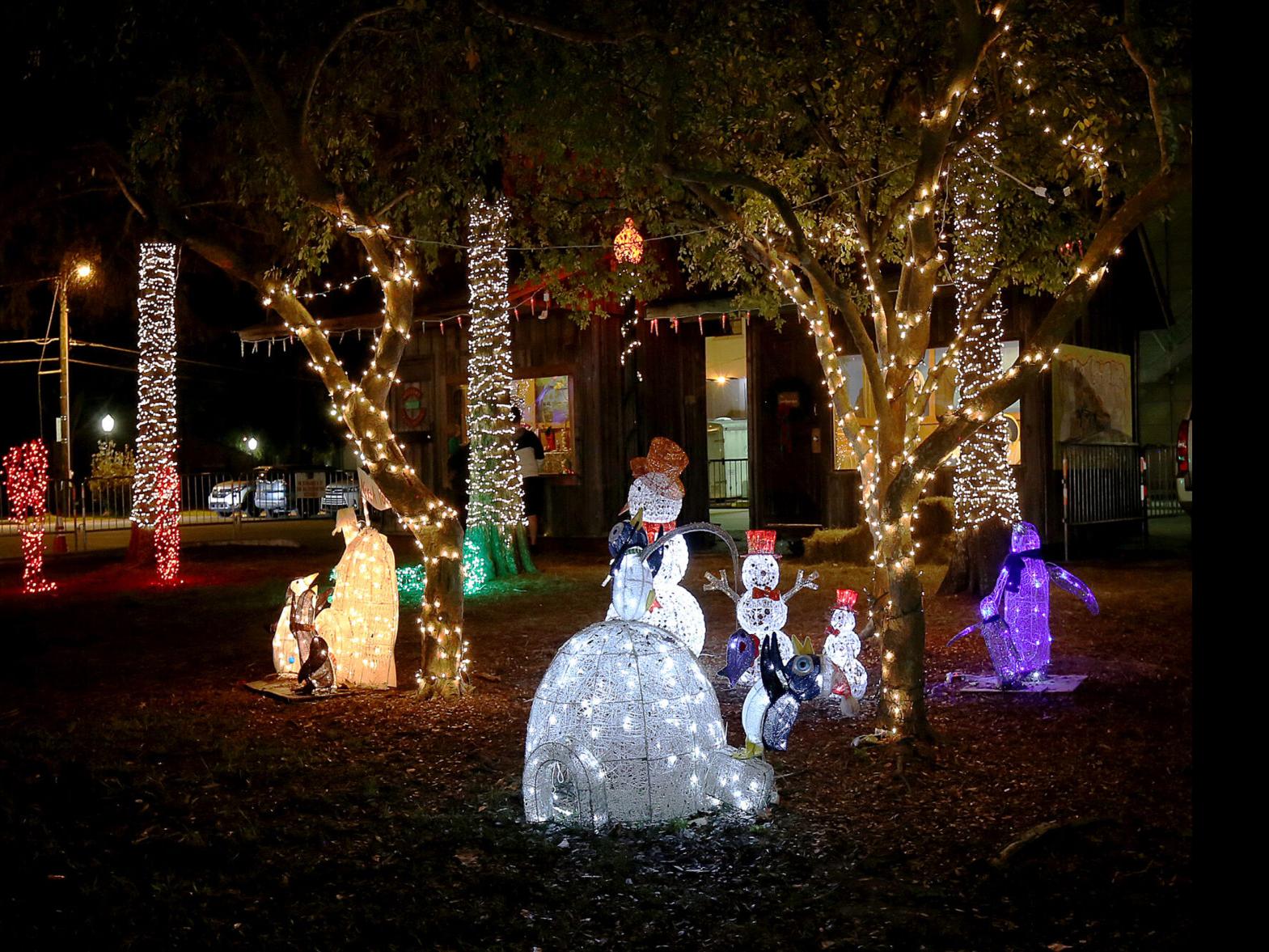Bayou Christmas Slidell 2022 Danny Heitman's 'At Random': Maybe The Best Of Louisiana Christmas Is  Outside | Danny Heitman | Theadvocate.com