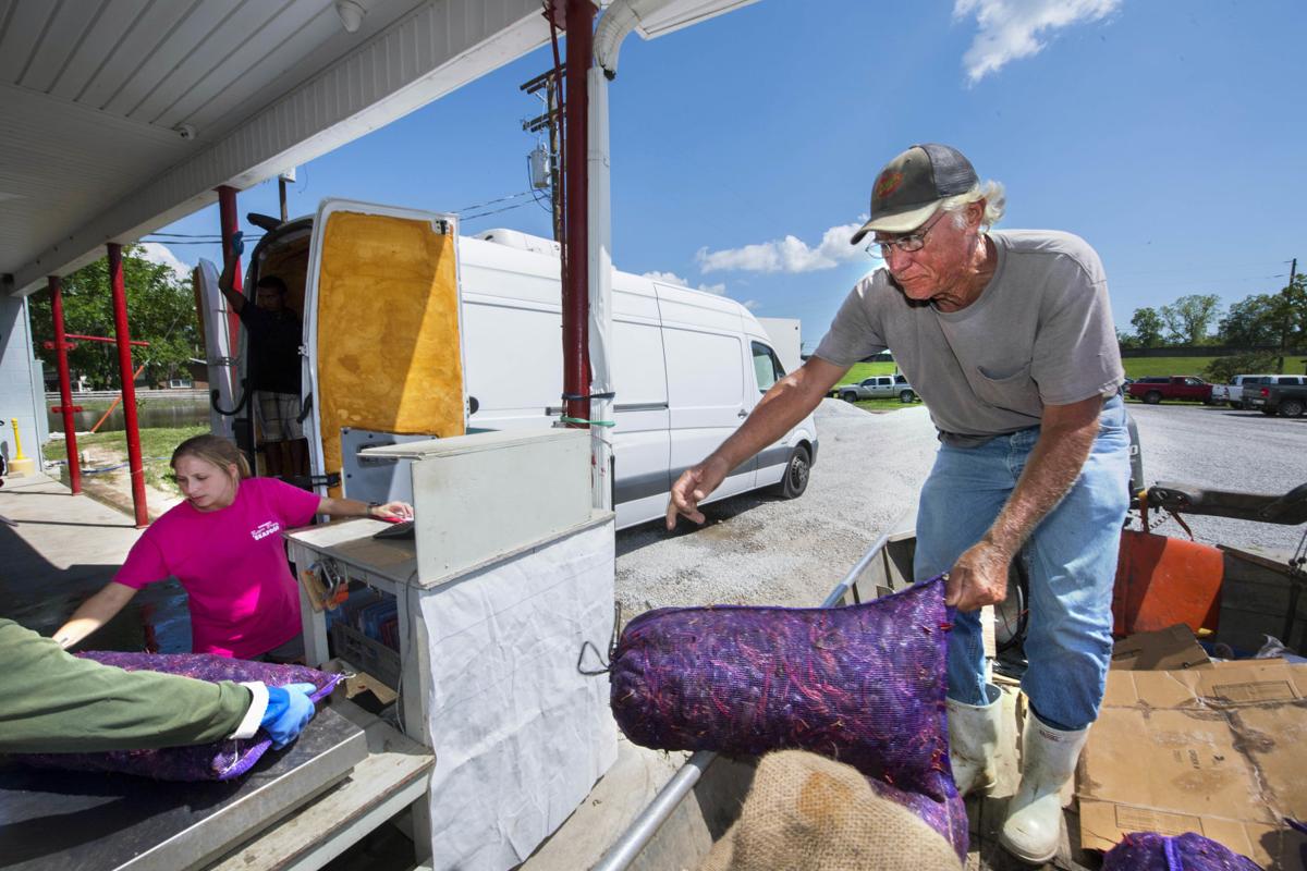 As Spillway opening looms, conservationists and scientists