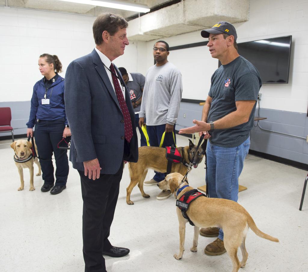 Inmates In Angola S New Paws Program Train Service Dogs For Veterans It S A Win Win Crime Police Theadvocate Com