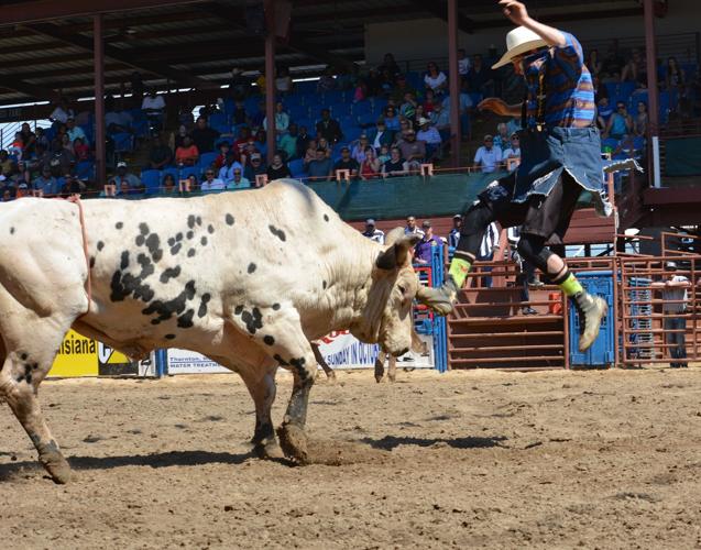 Angola Rodeo-Arts and Crafts023.JPG