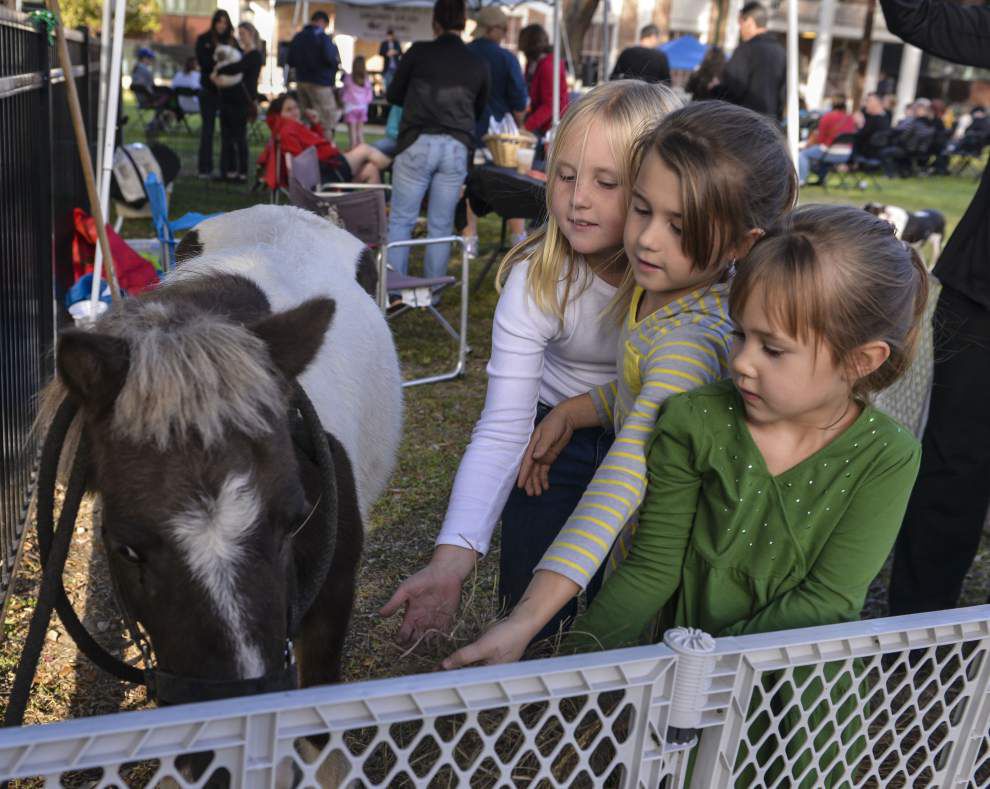 First Irish Fest held in New Orleans _lowres