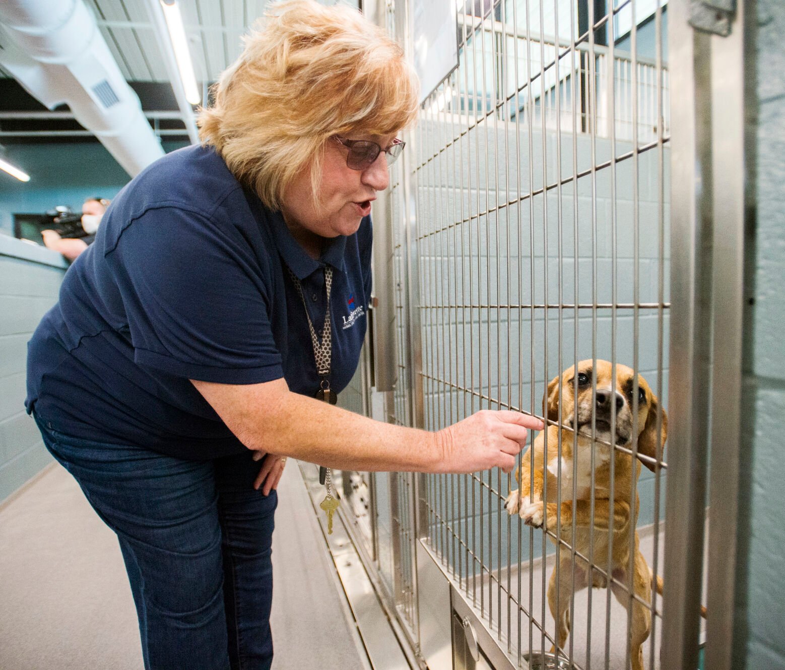 Despite Influx, Lafayette Animal Shelter Exceeding Last Year's Record ...