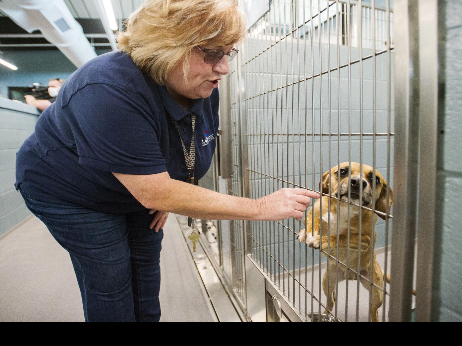 Lafayette S New Shelter Inundated With Animals Waives Fees To Try To Clear Kennel Space News Theadvocate Com