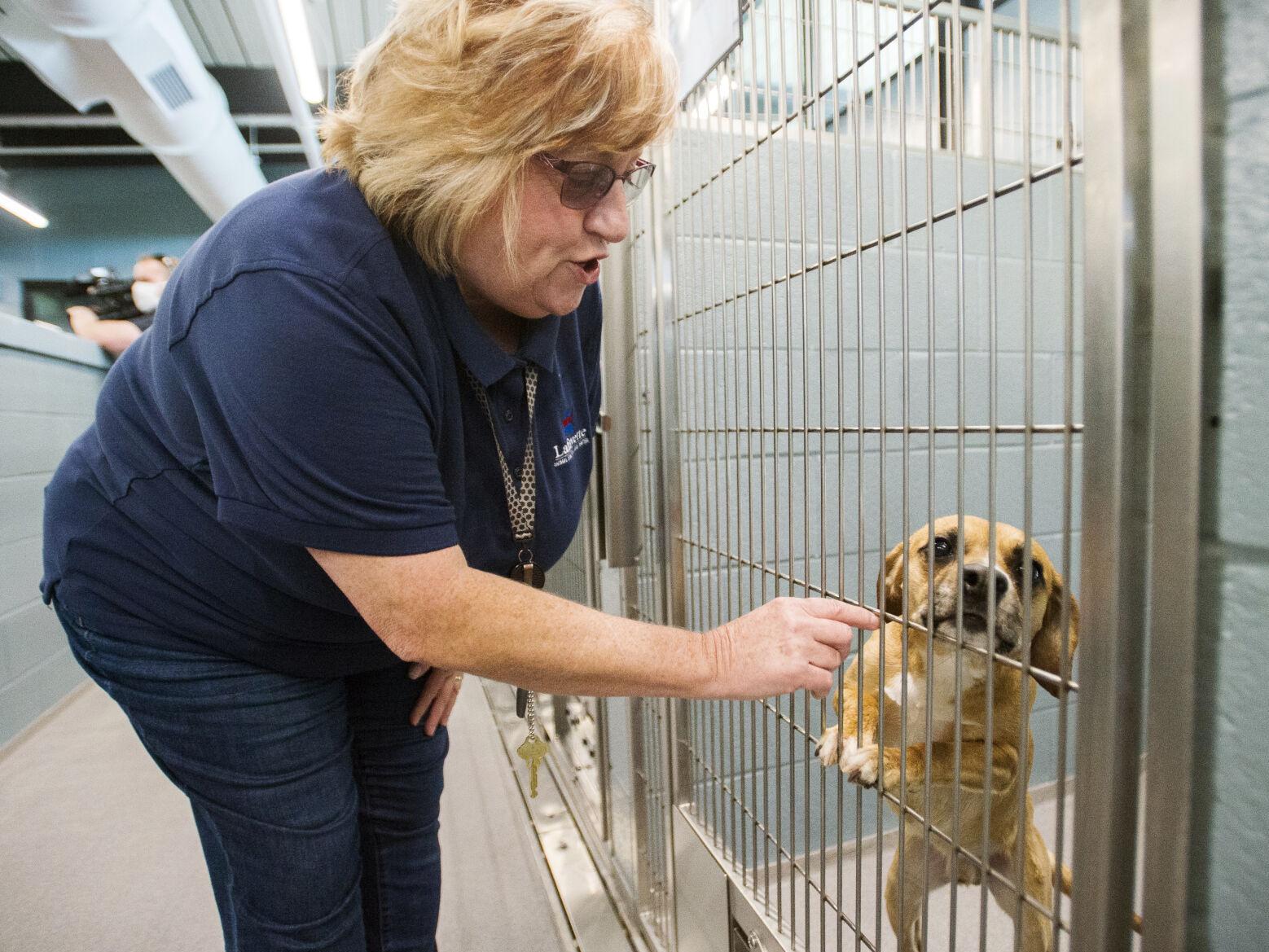Lafayette S New Shelter Inundated With Animals Waives Fees To Try To Clear Kennel Space News Theadvocate Com Lafayette S New Shelter Inundated With Animals Waives Fees To Try To Clear Kennel Space News Theadvocate Com