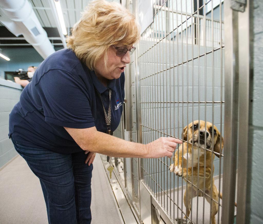 Lafayette S New Shelter Inundated With Animals Waives Fees To Try To Clear Kennel Space News Theadvocate Com