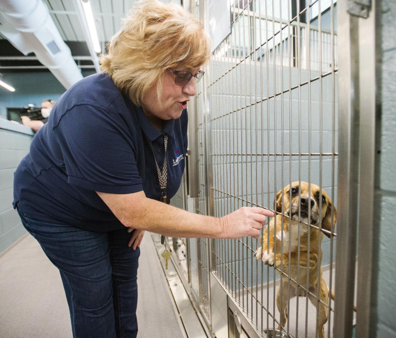 Despite influx, Lafayette animal shelter exceeding last year's record