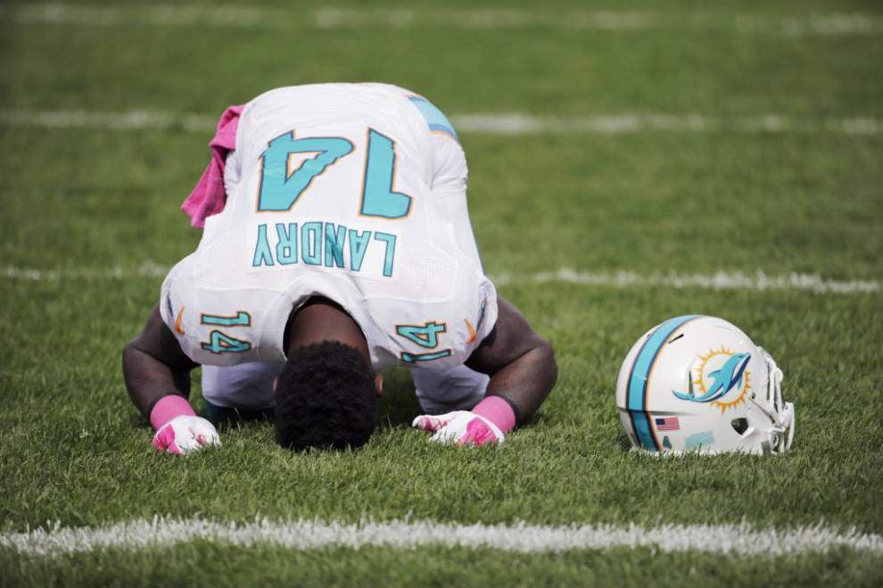 Former LSU player Jarvis Landry is named AFC Special Teams Player of the Month for October _lowres