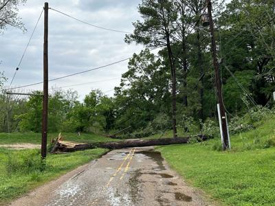 BR.stormdamage.041124