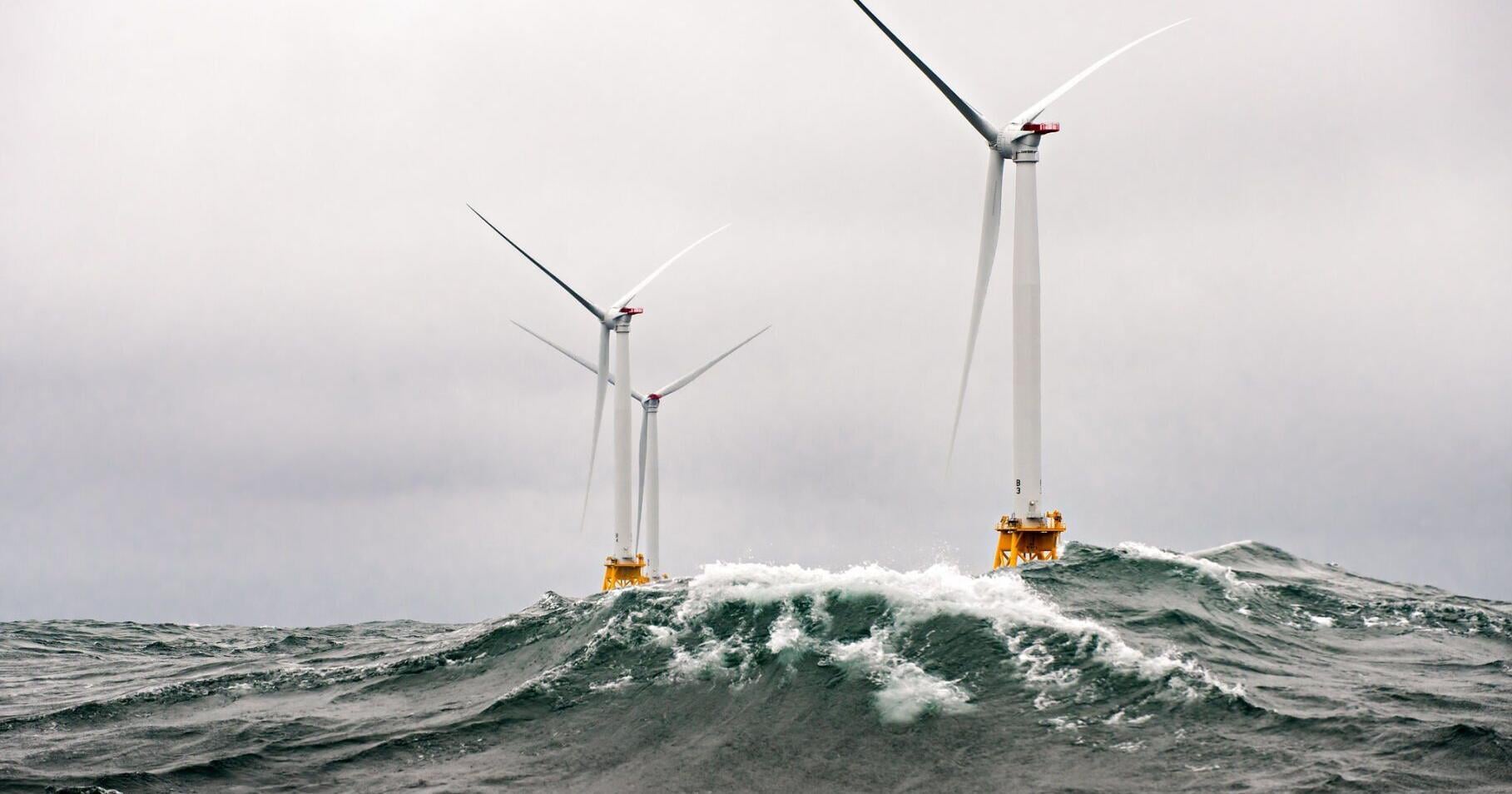 Offshore wind, carbon projects clash on Louisiana coast | Environment - Vimarsana News
