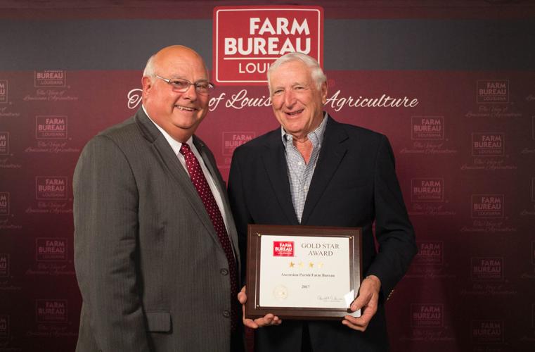 Ascension Parish Farm Bureau receives awards at state Farm Bureau