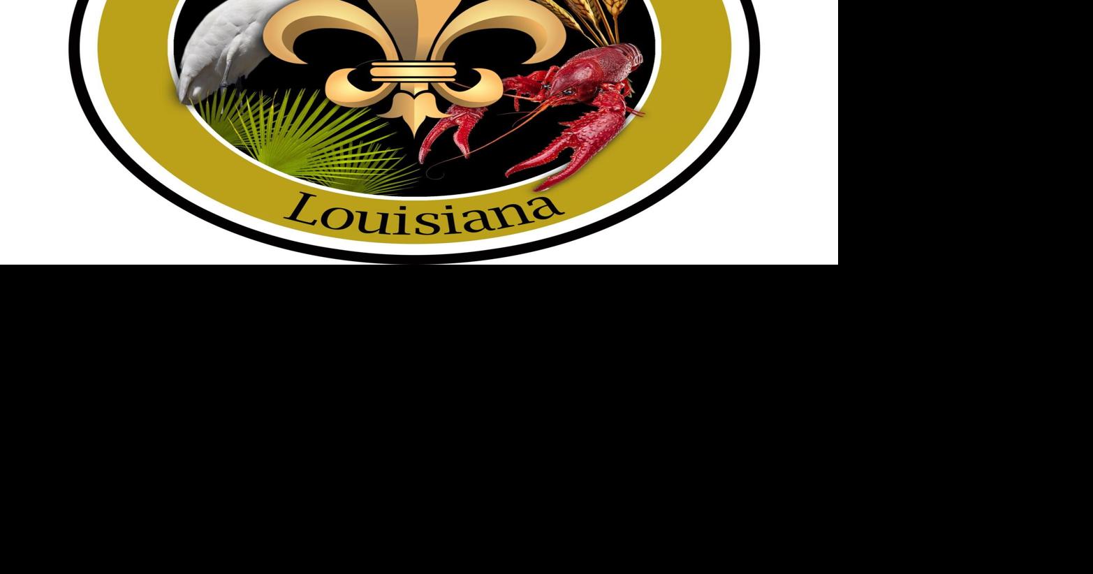 Kaplan residents without power after storms, schools closed News