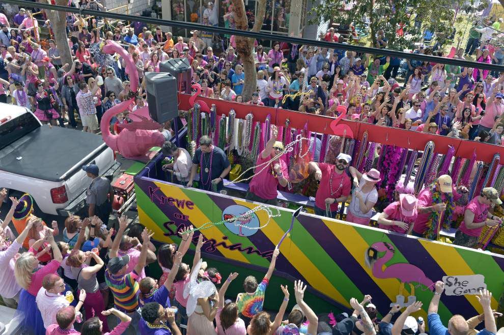 baton rouge mardi gras flamingos