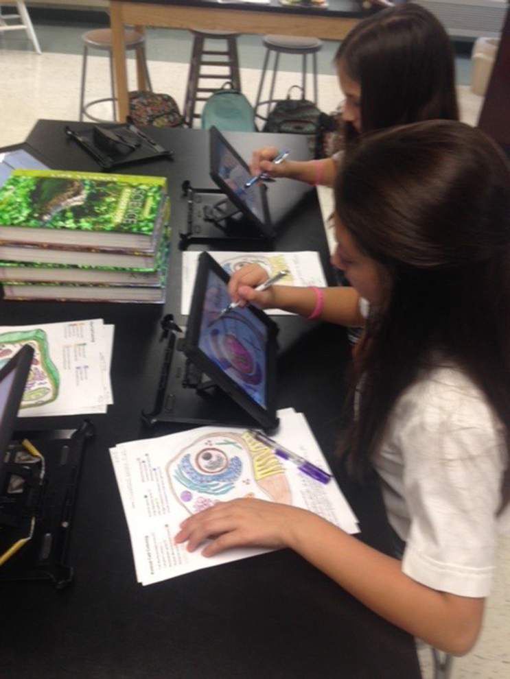 Livingston-Tangipahoa community photo gallery for Oct. 15, 2015 _lowres