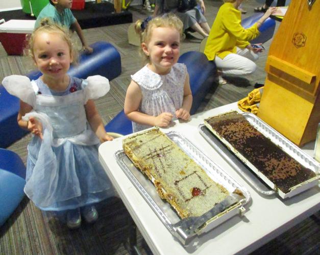 lt bees IMG_6128.jpg