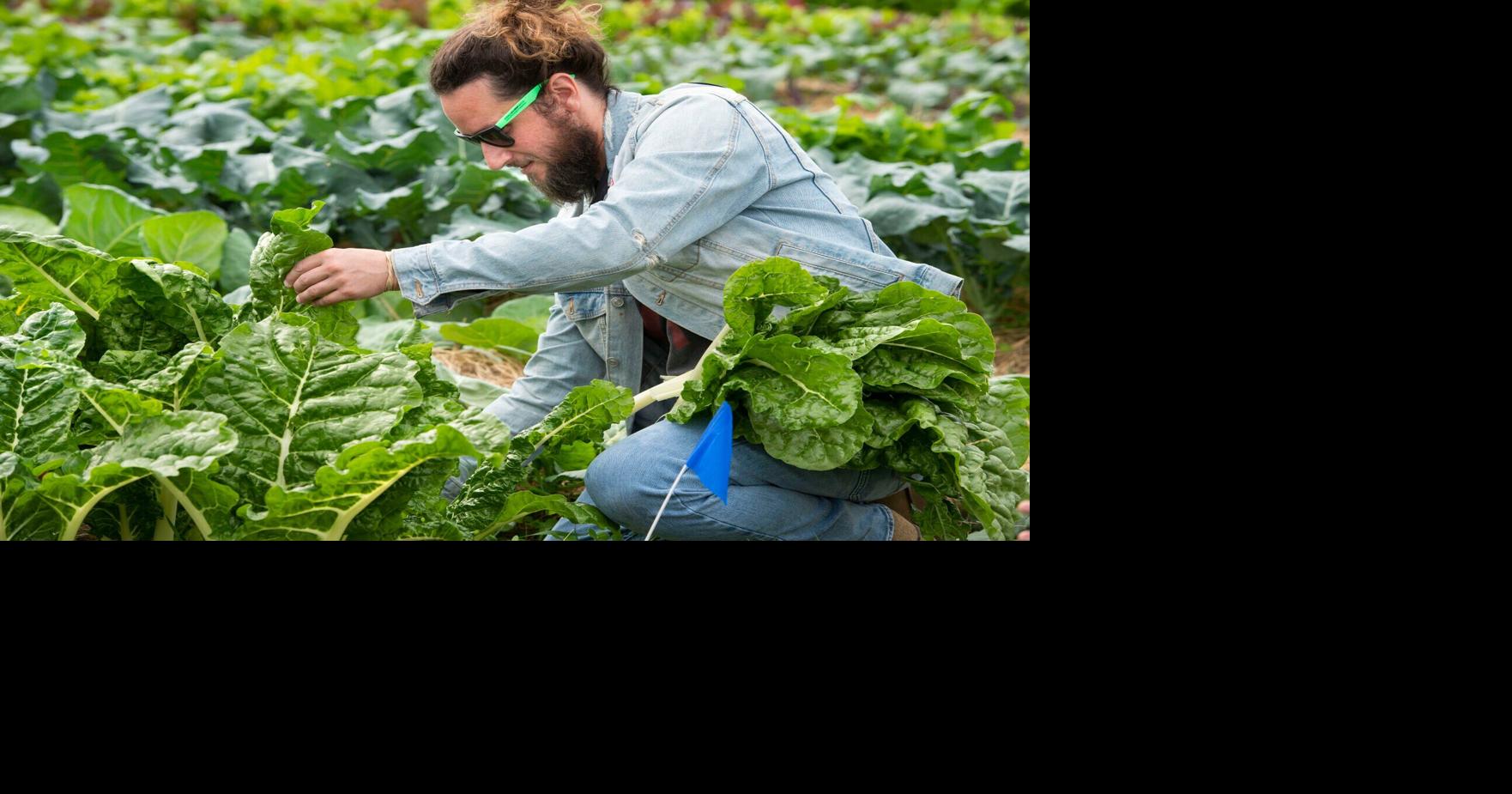 Dan Gill's New Year's resolutions for gardeners, from mulching to making time to enjoy flowers