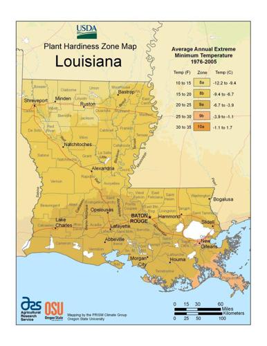 Louisiana Hardiness Zone Map Garden News: Know Your Hardiness, Heat Zones | Home/Garden | Theadvocate.com