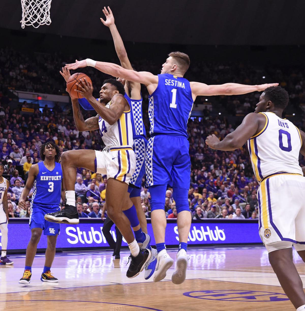 Lsu Basketball Claws But Kentucky Overpowers Tigers As
