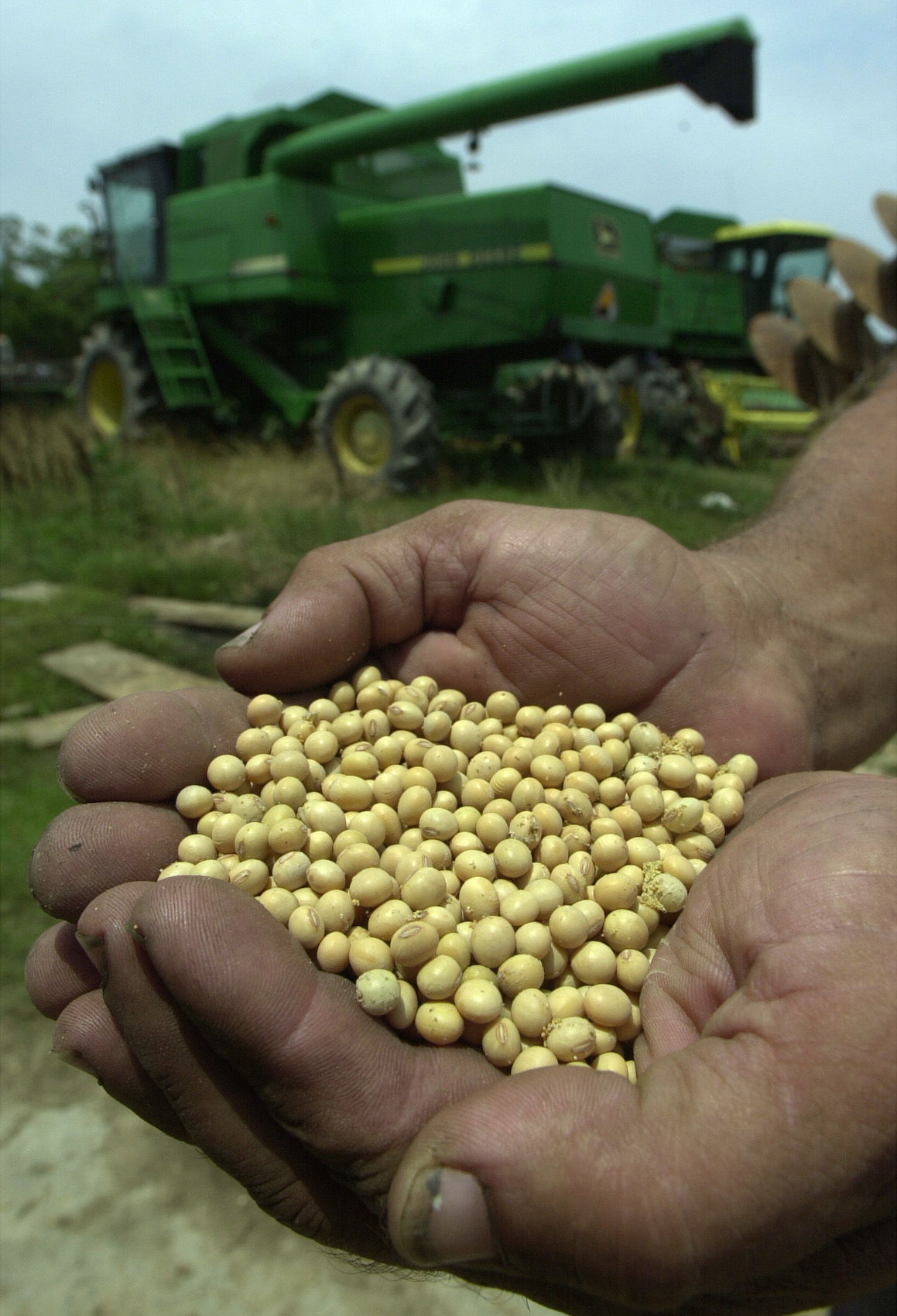 Soybeans... 05/16/03