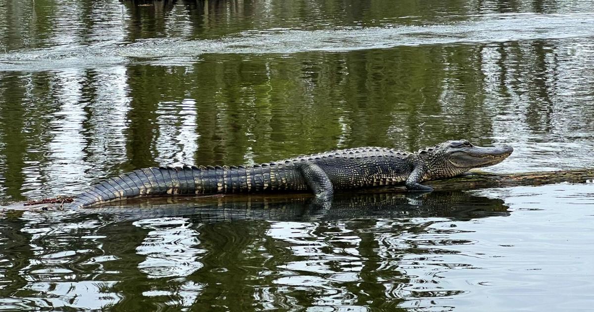 Stormy weather hampering fishing efforts