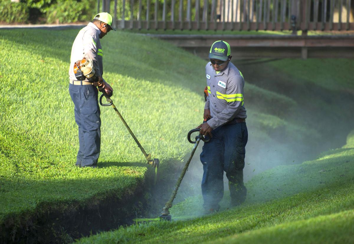 BR.hrblabor TS 199.091018.jpg