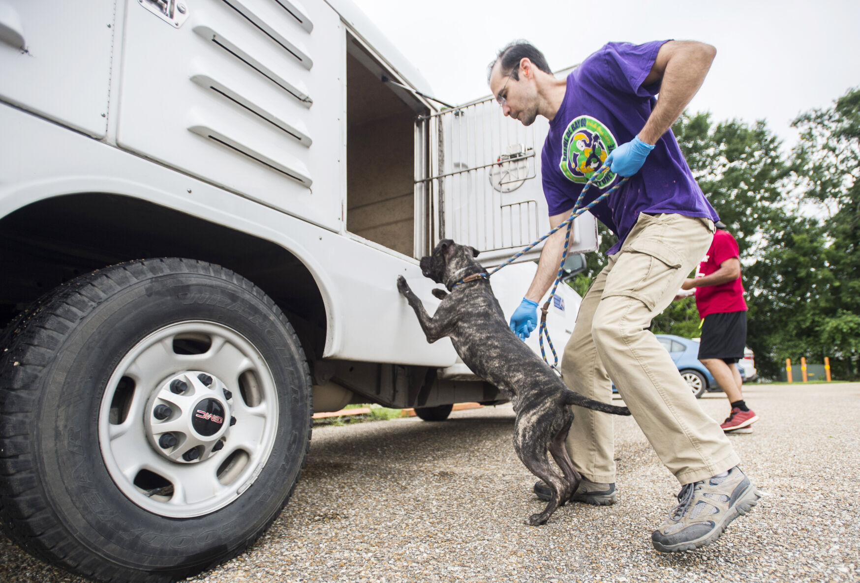 Photos: Lafayette Animal Shelter Staff Move More Than 200 Animals To ...