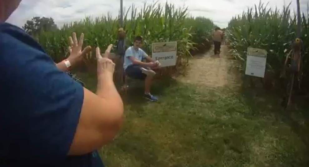 Video: Navigating the corn maze _lowres