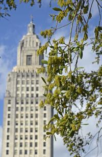 Louisiana comes in dead last in new 'Best States' ranking