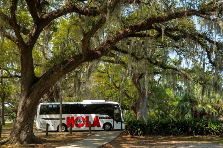 American Safety - NOLA Tours in New Orleans City Park 26.jpg
