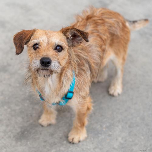 Second Chance Sasha.jpg