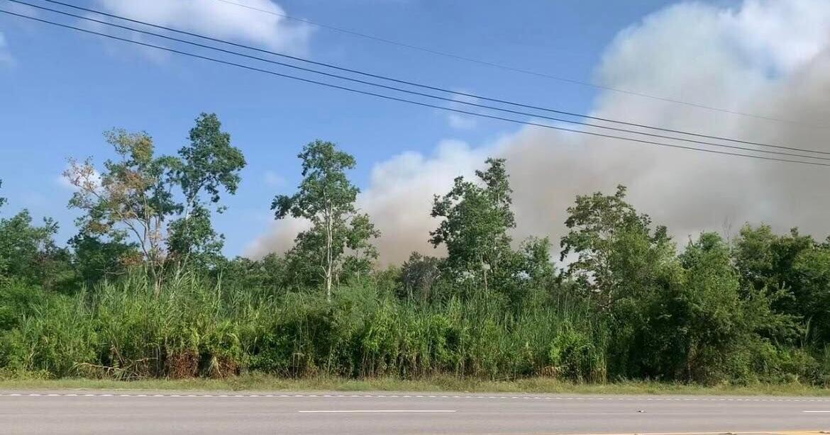Crew battles Bayou Sauvage marsh blaze amid wider warnings | Environment - Vimarsana News