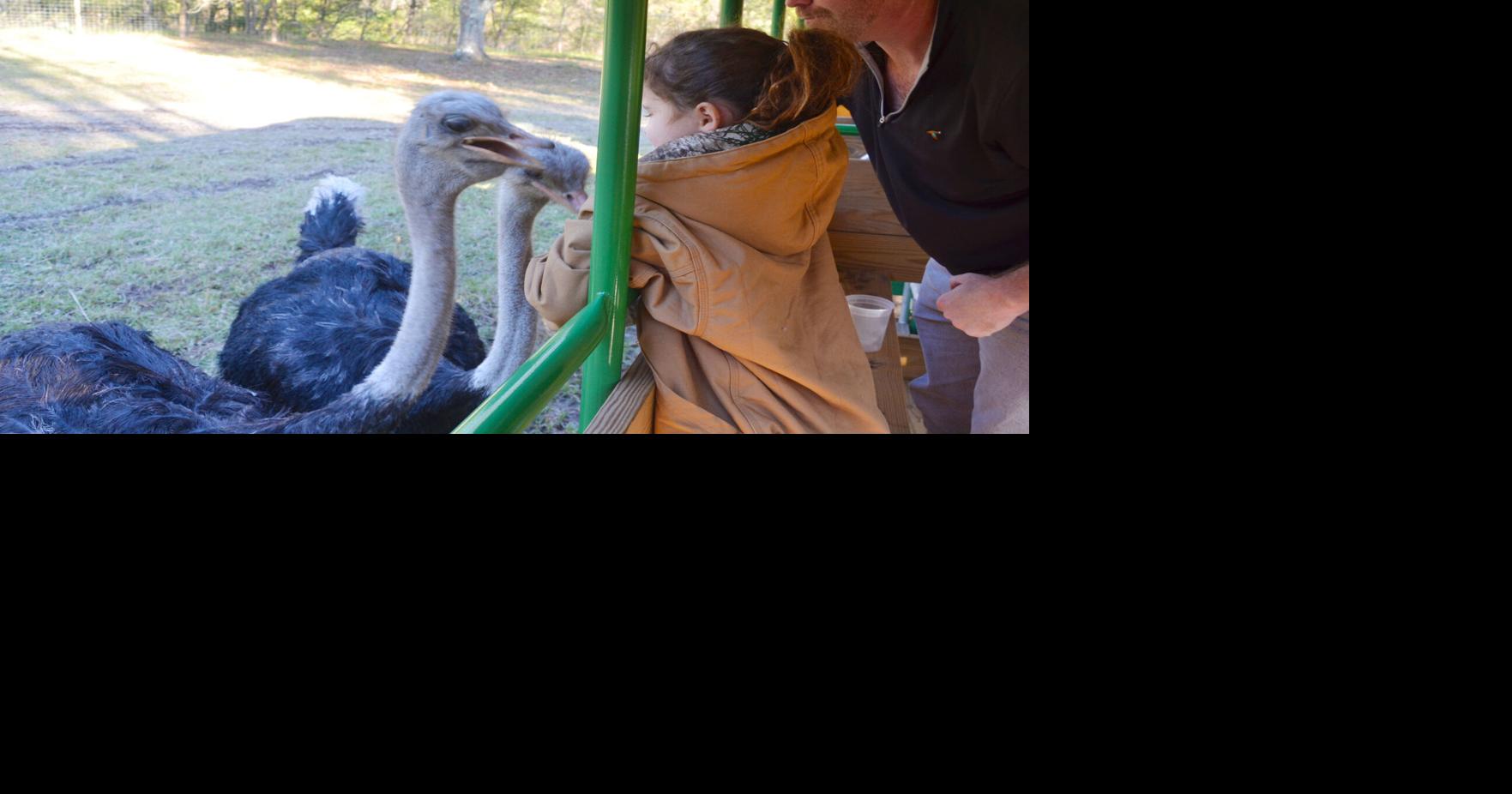 Why this local conservationist is selling an East Feliciana Parish wildlife preserve