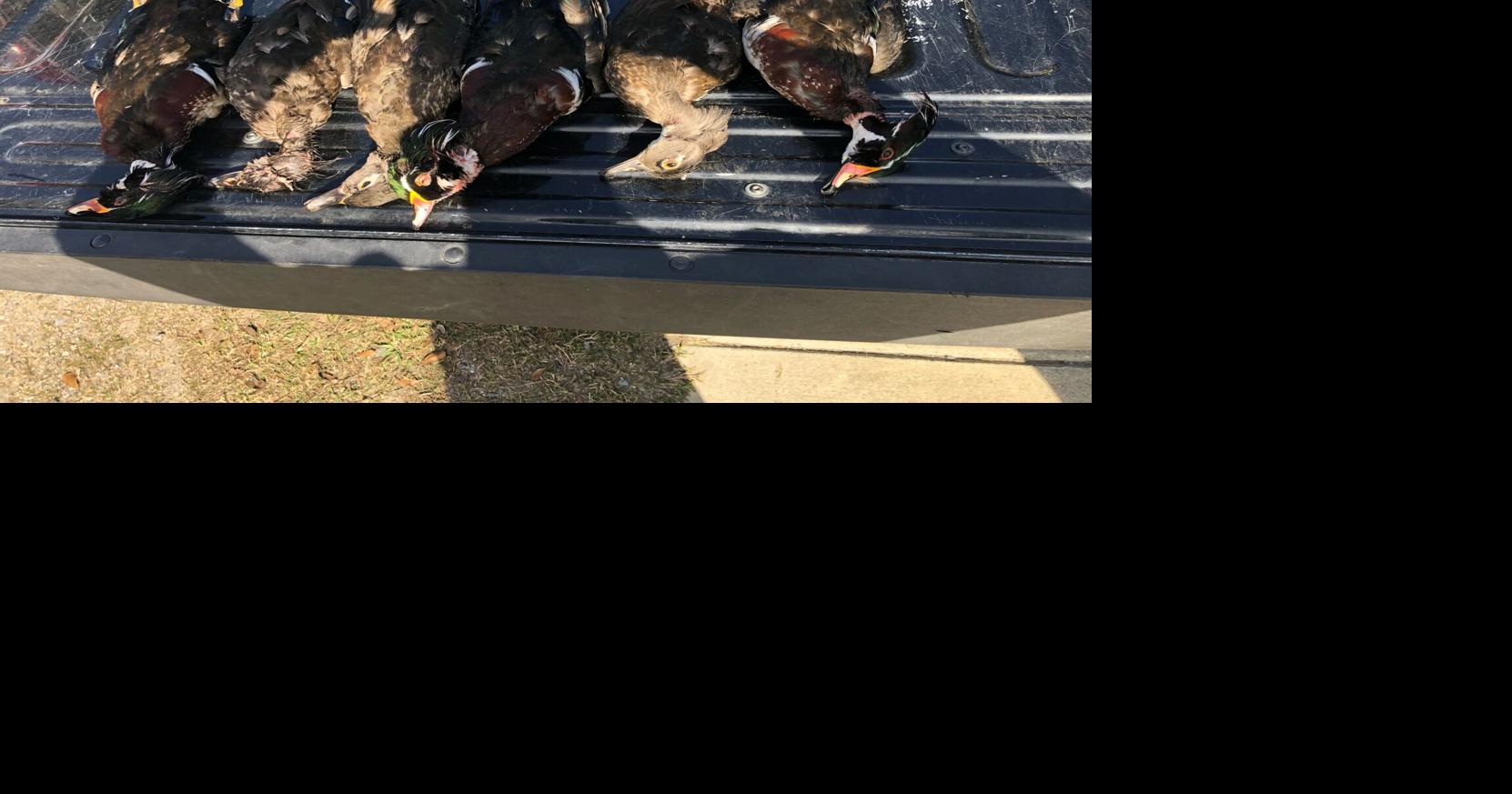 Four Baton Rouge hunters cited for illegally hunting ducks in East Baton Rouge Parish Crime