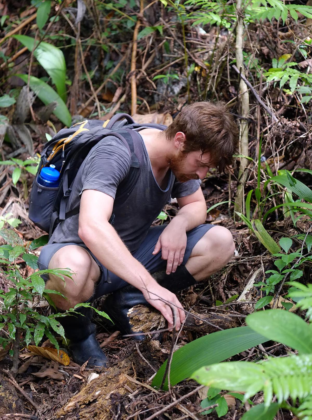 ascension living and outdoors on Gonzales Native Discovers New Species Of Snake Native To The Philippines Ascension Theadvocate Com