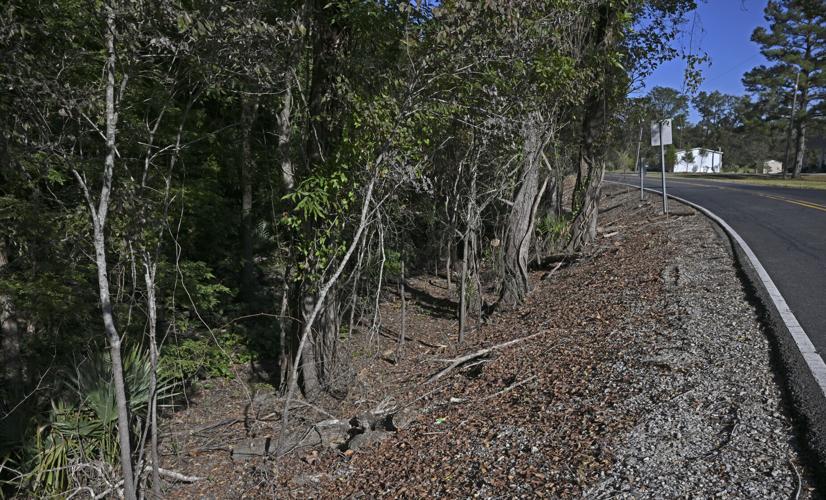 BR.wildbayoumanchac.adv HS 001.JPG