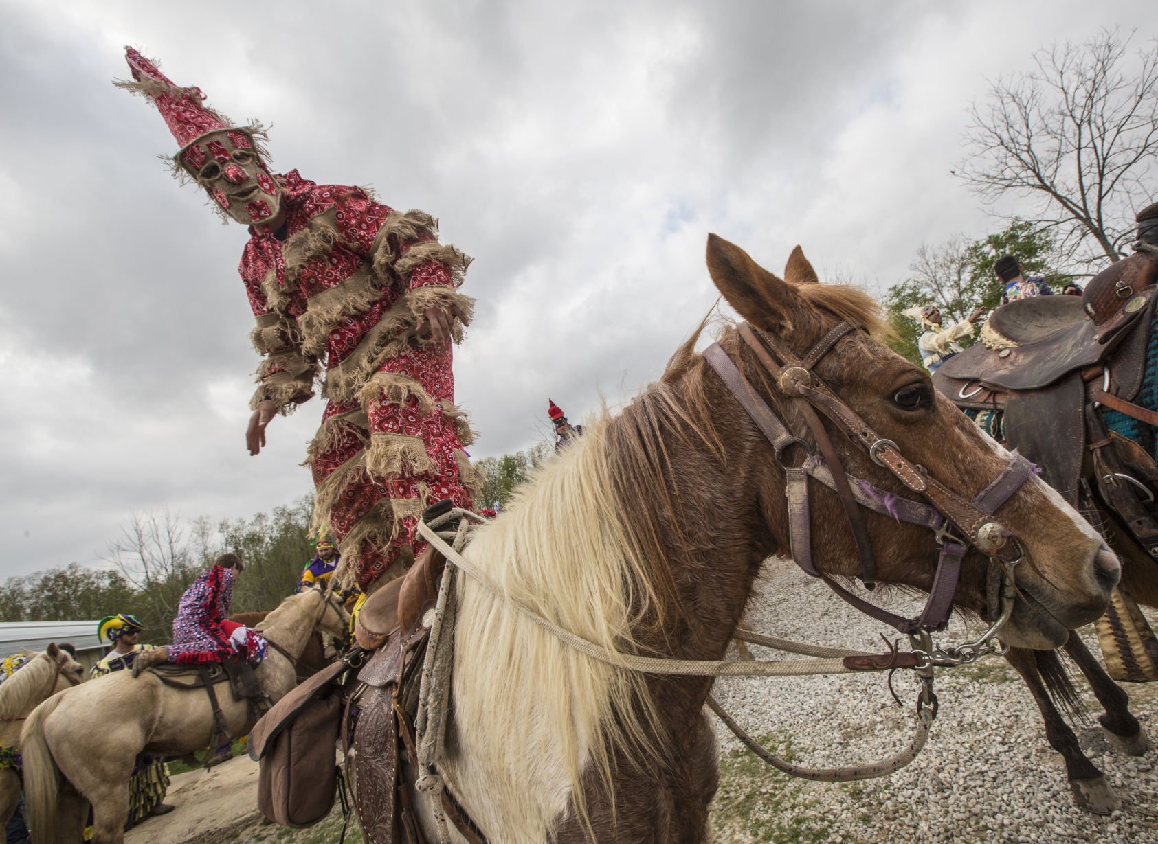 Mardi Gras Cajun Style Chasing Chickens Pigs Along The Byways   58b5dafa34546.image 