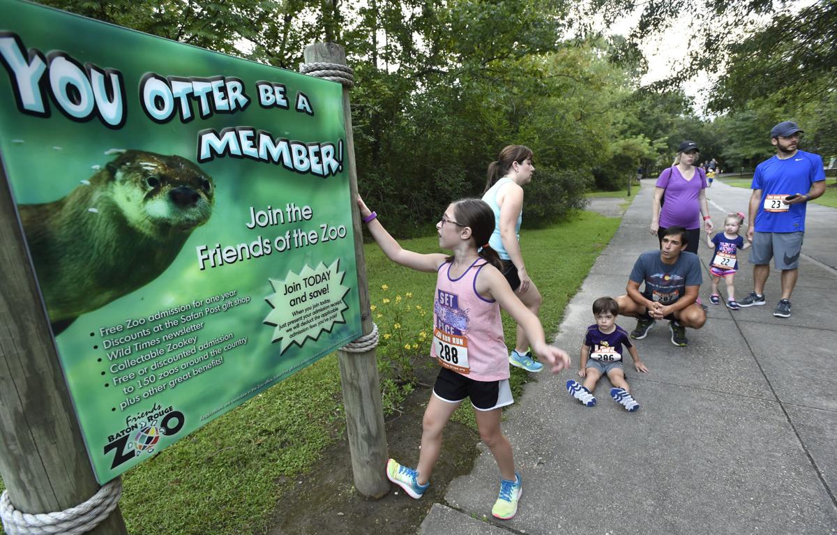 Photos: 'Zoo Run Run' 5k, fun run benefits cheetah ...