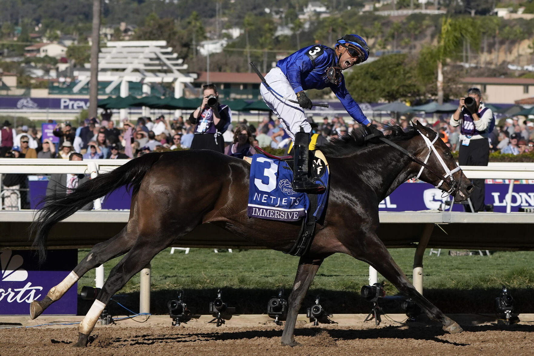 5 Horses To Watch At The 2024 2025 Fair Grounds Race Meet Sports 673ba2aa3e173.image