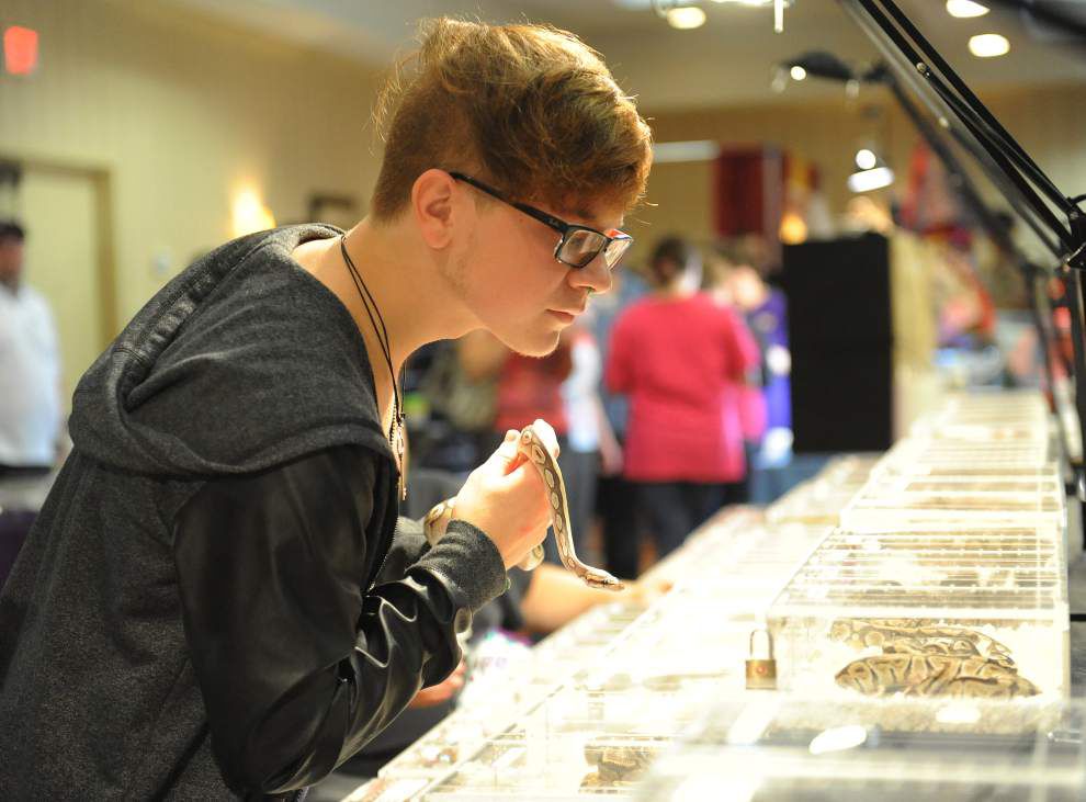 Photos: Snakes, turtles, lizards take center stage at ReptiDay in Lafayette _lowres