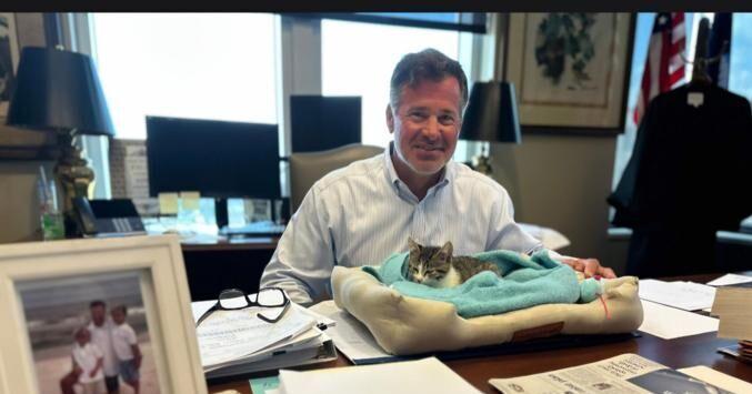 Letters: Judge’s rescue of injured kitten was rare good news
