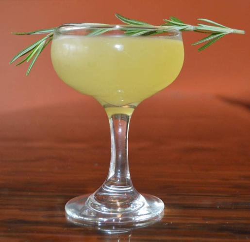 ‘Cocktails in the Garden’ raises funds for Botanic Garden