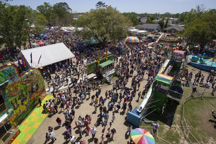Strawberry_festival.011